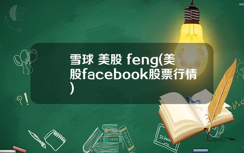 雪球 美股 feng(美股facebook股票行情)